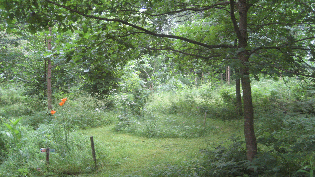 Arboretumi 2026